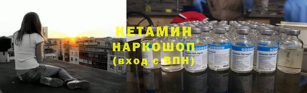 индика Нязепетровск