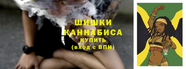 соль ск Няндома