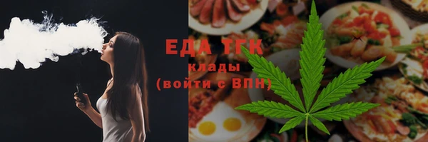 индика Нязепетровск