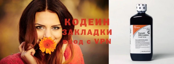 соль ск Няндома
