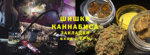 индика Нязепетровск