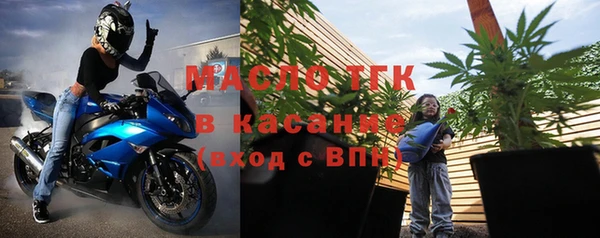 индика Нязепетровск