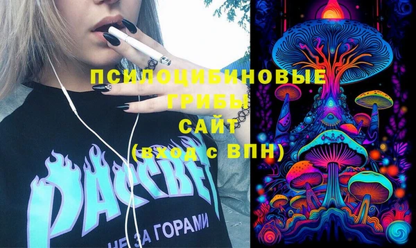 индика Нязепетровск