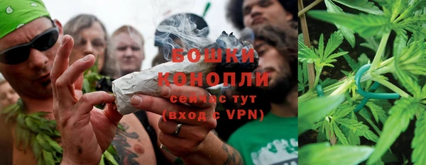 индика Нязепетровск