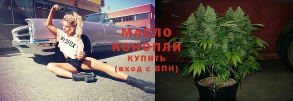 соль ск Няндома